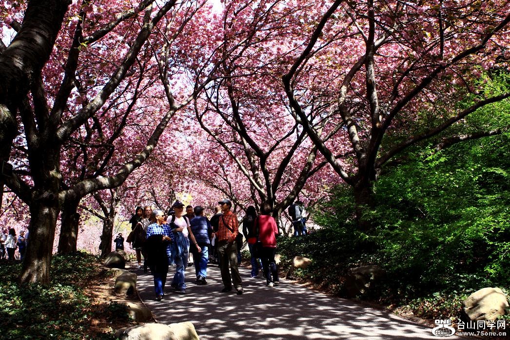 }u -ձ@12-4 117-a.jpg