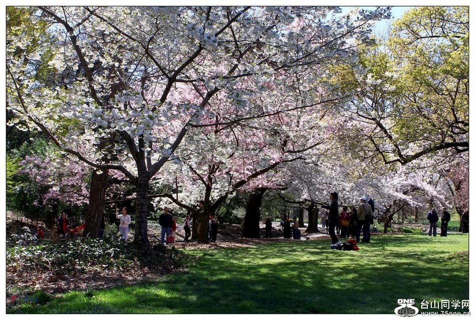 }u -ձ@12-3 103-a.jpg