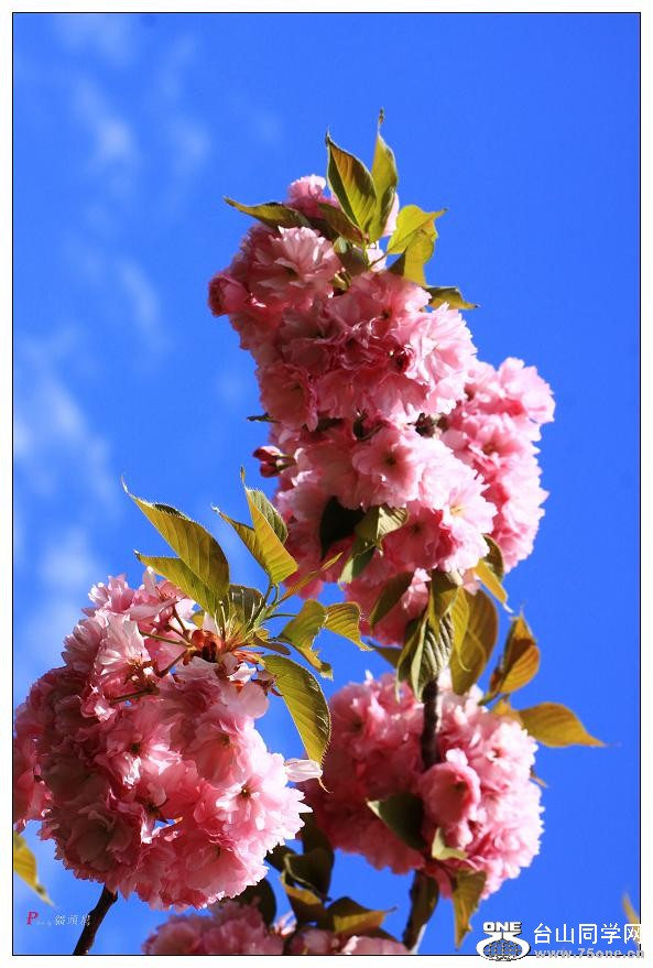 }u -ձ@12-5 267-a.jpg