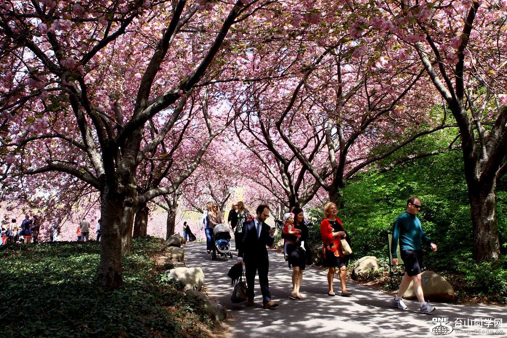 }u -ձ@12-4 105-a.jpg