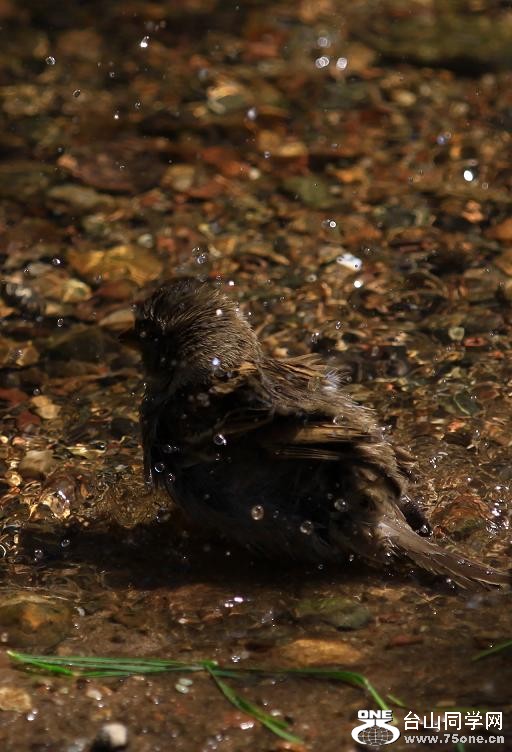 }u -ձ@12-4 249-c.jpg