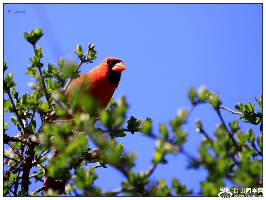 }u -ձ@12-3 258-88-s.jpg