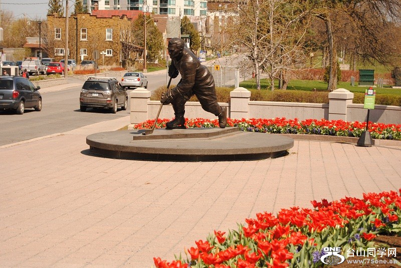 DSC_1369.JPG