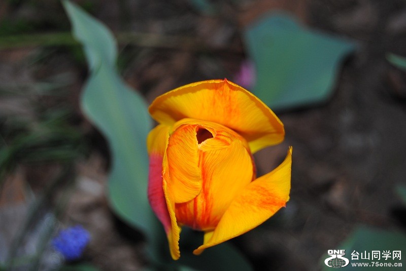 DSC_1307.JPG