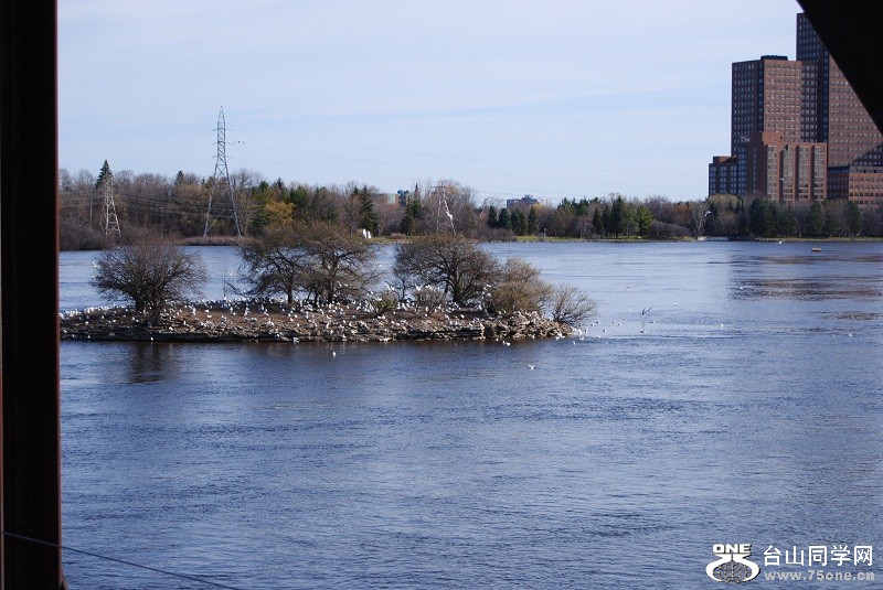 DSC_1121.JPG