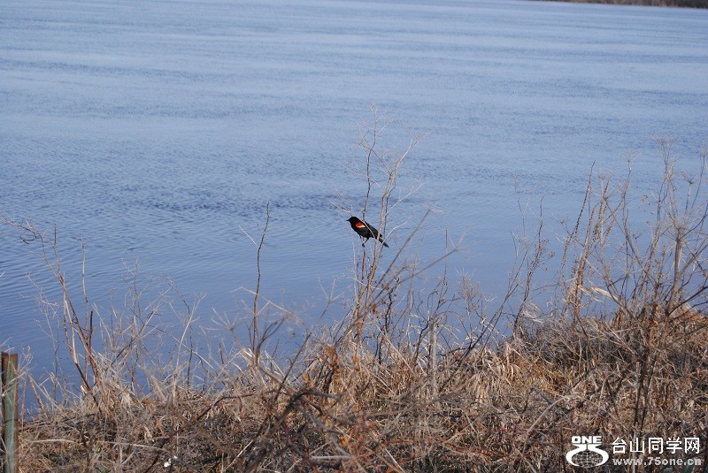 DSC_1093.JPG