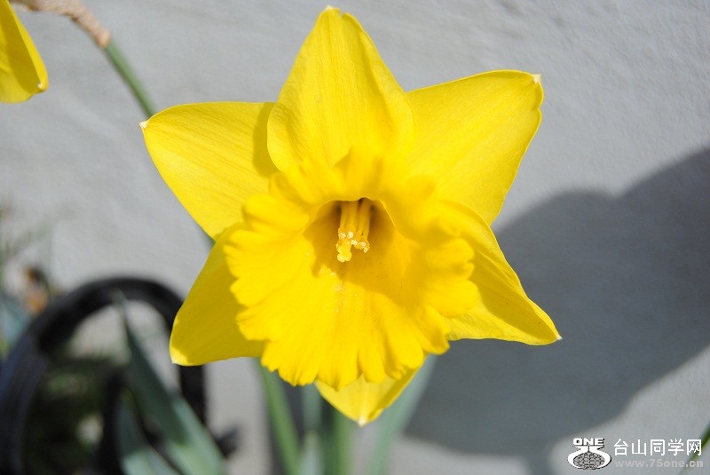 DSC_1159.JPG