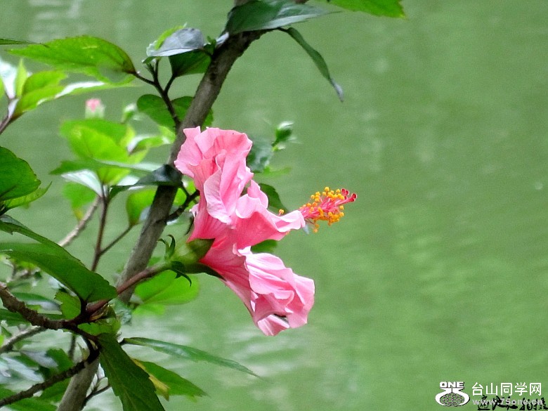 �ϴ塢���� 164_conew1.jpg