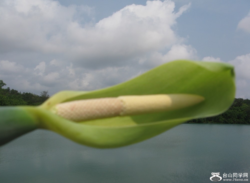 57.jpg