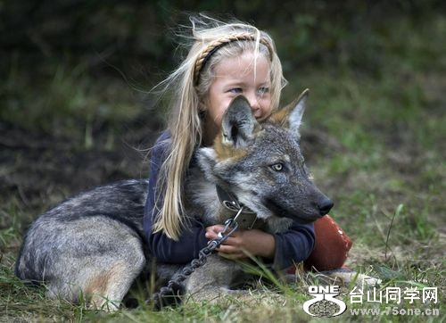 21725151[1].jpg