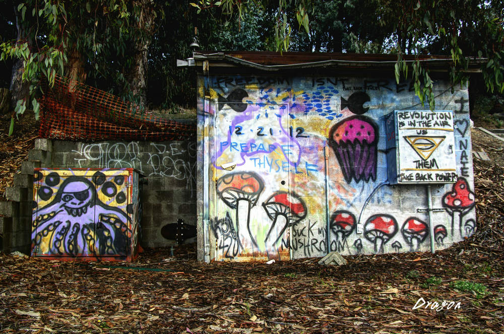 IMGP1690_1_2_fused.jpg