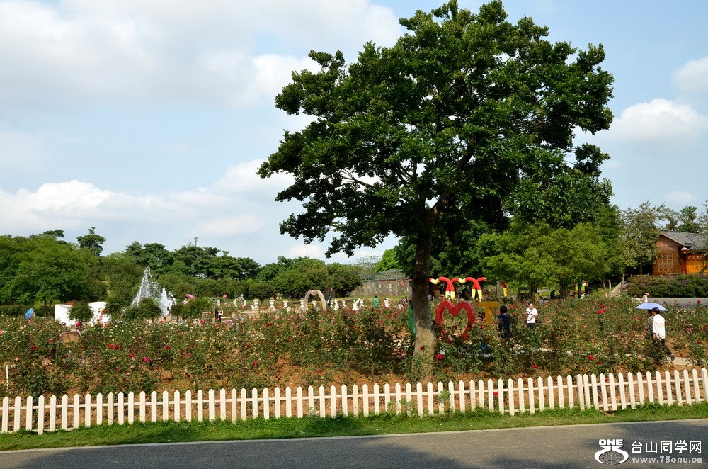 115.jpg