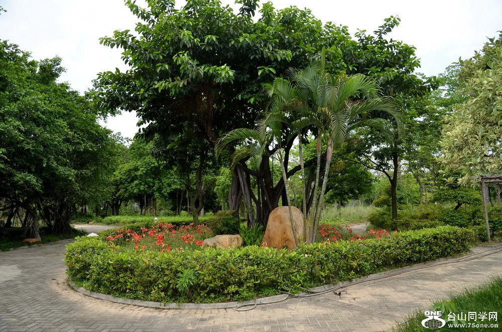 71.jpg