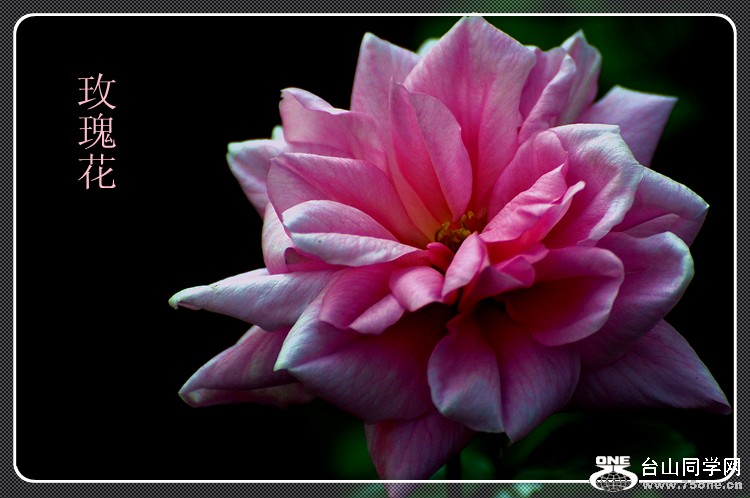 dsc_0136_.jpg