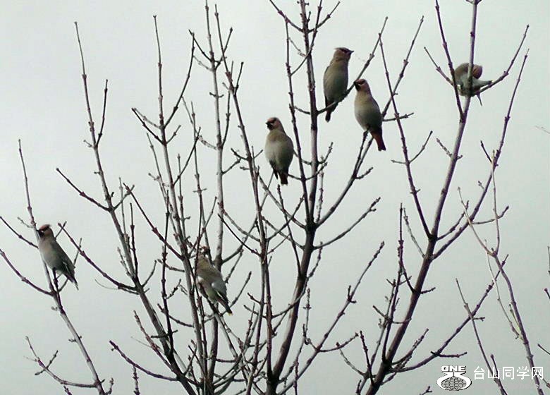2012_040210111=.jpg