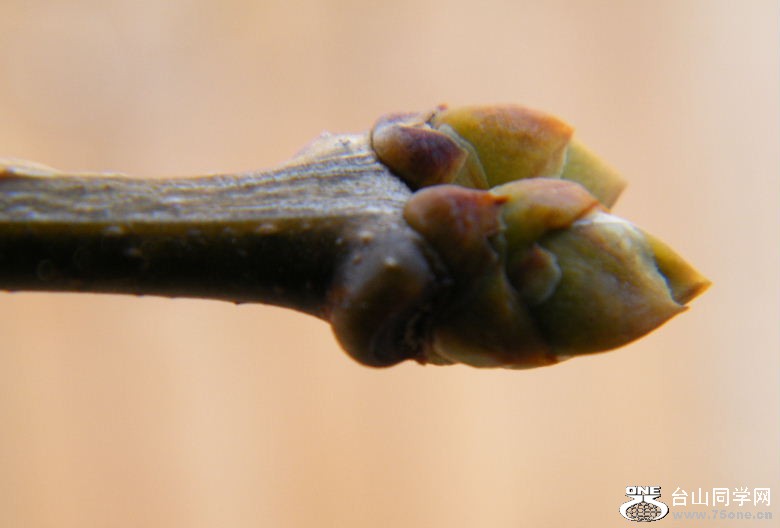 DSCF3088.JPG