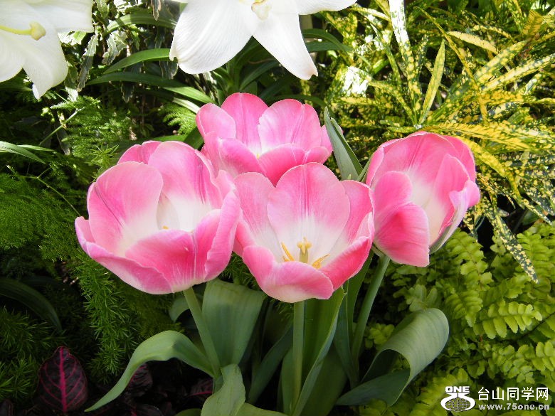DSCF3120.JPG