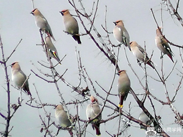 2012_040210106=0.jpg