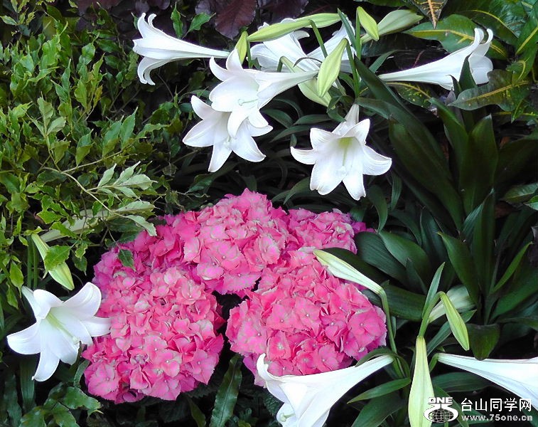 2012_040510053.JPG