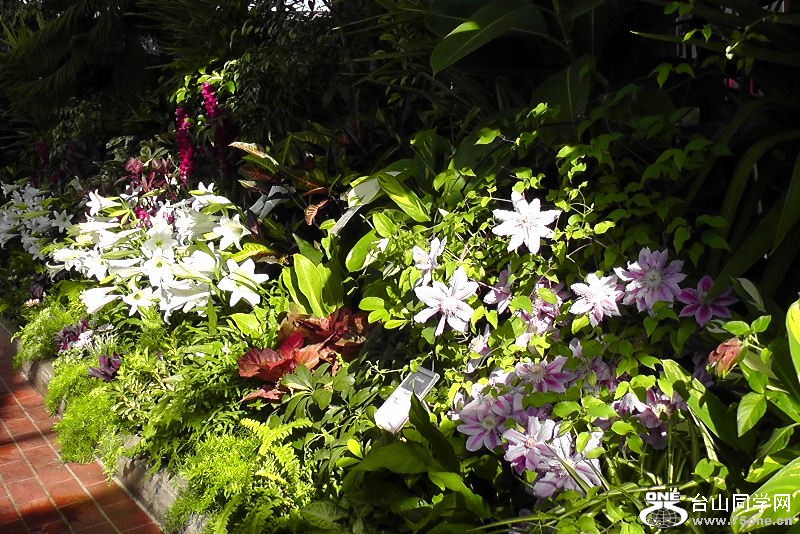 2012_040510043.JPG