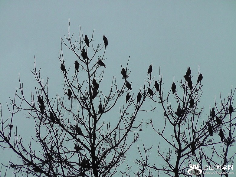 2012_040210093.JPG