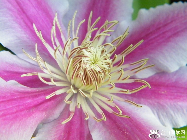DSCF3126.JPG