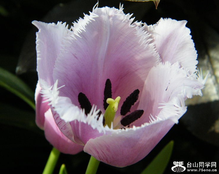 DSCF3129.JPG