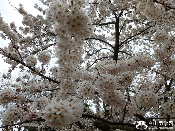 P1070049.JPG