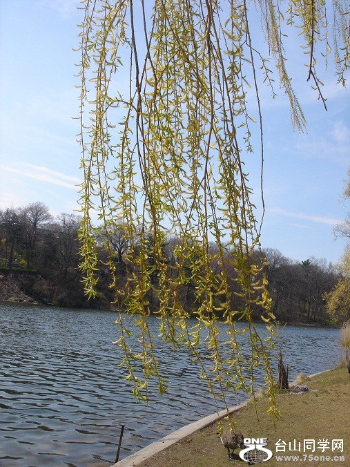 DSC08274.JPG