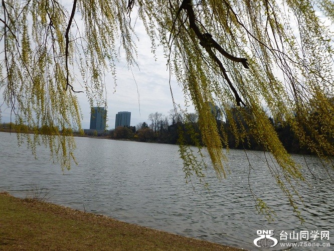 P1070151.JPG