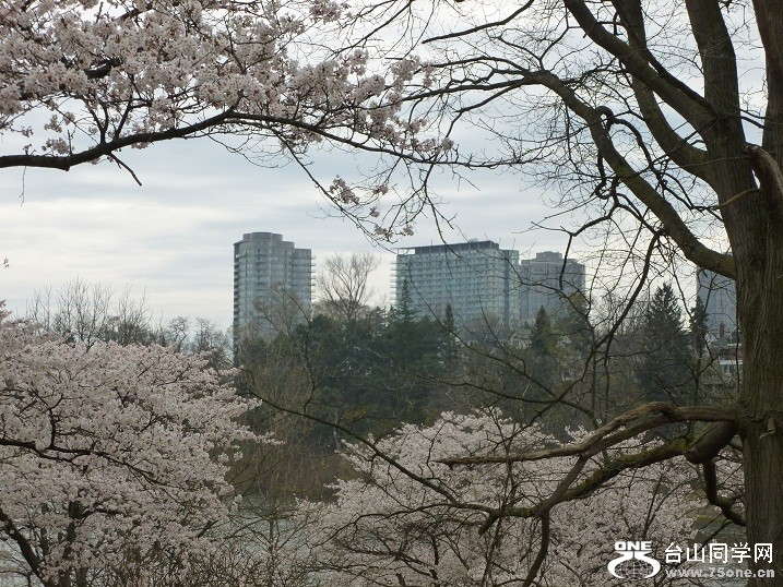 P1070064.JPG