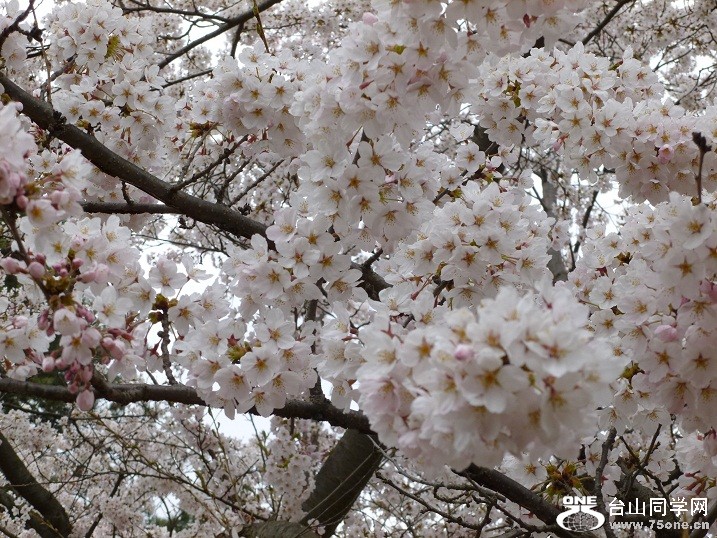 P1070045.JPG