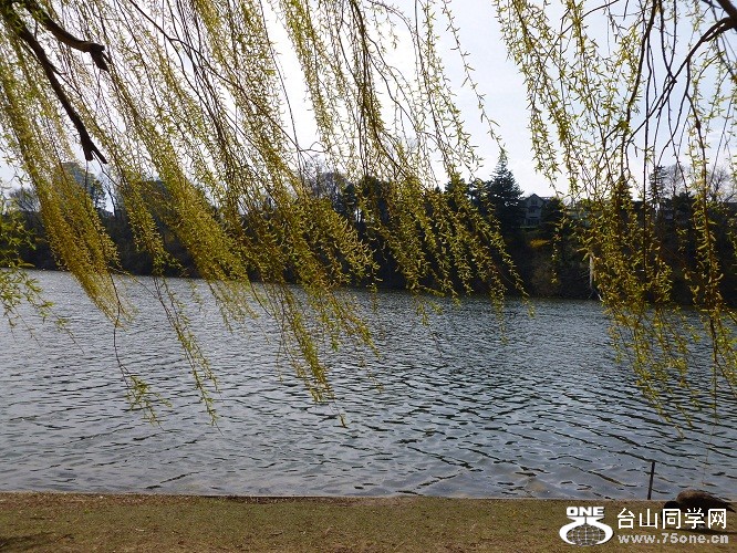P1070152.JPG