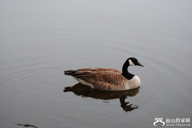 DSC_1595.JPG