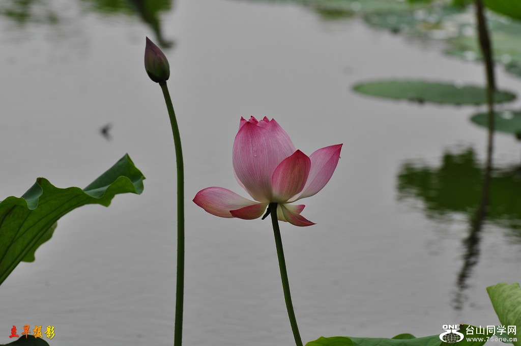 DSC_0021.JPG