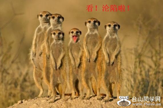 5cc092956bf8eae4d3ff27b0244968b91.jpg