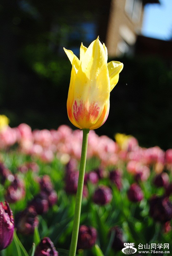 DSC_1764.JPG