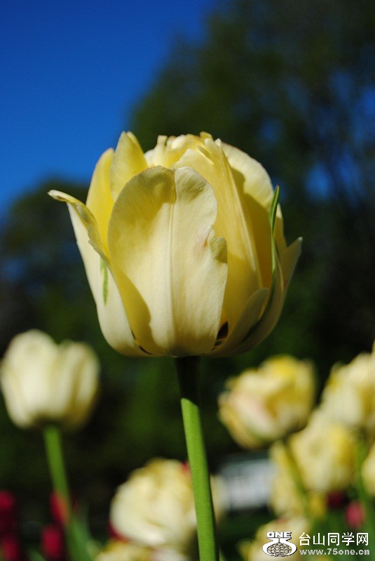 DSC_1899.JPG