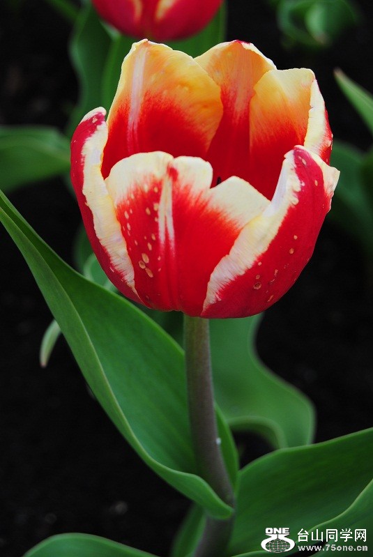DSC_1663.JPG