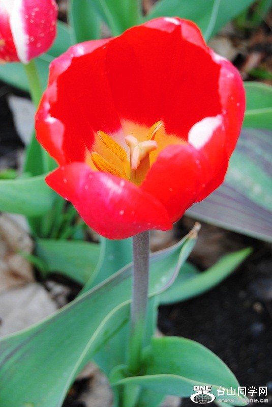 DSC_1673.JPG