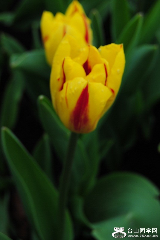 DSC_1670.JPG