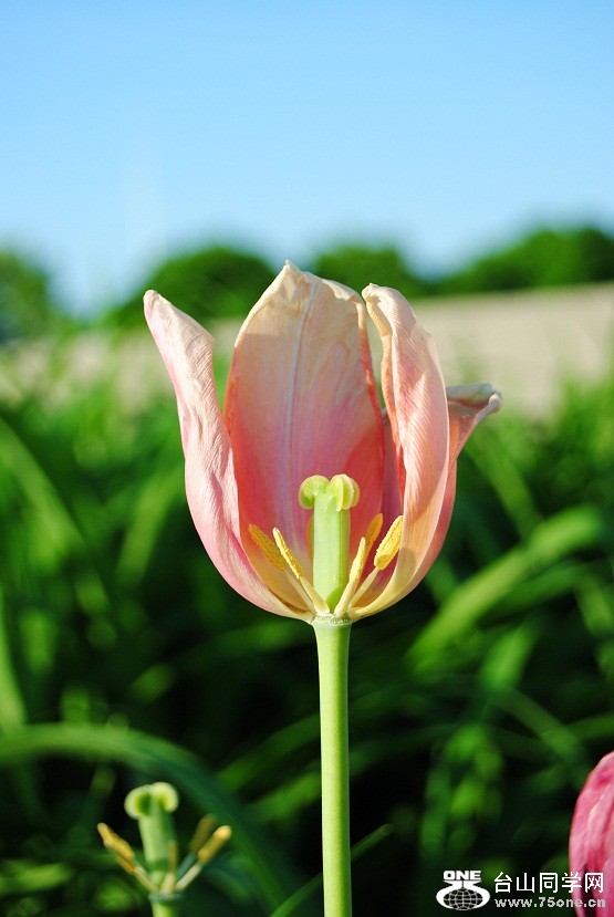 DSC_2257.JPG