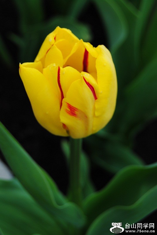 DSC_1667.JPG