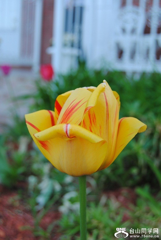 DSC_2132.JPG