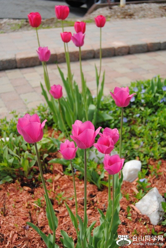 DSC_2113.JPG