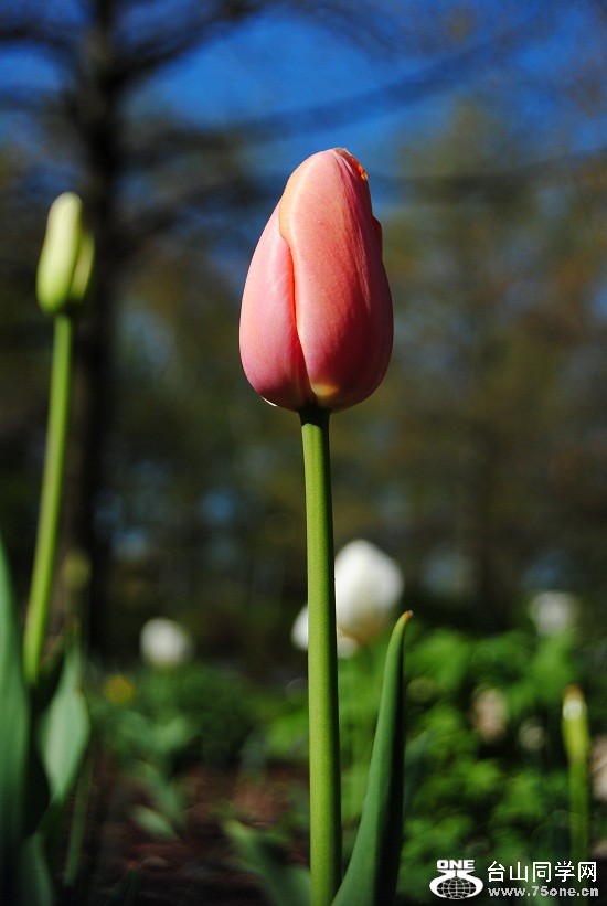 DSC_1896.JPG