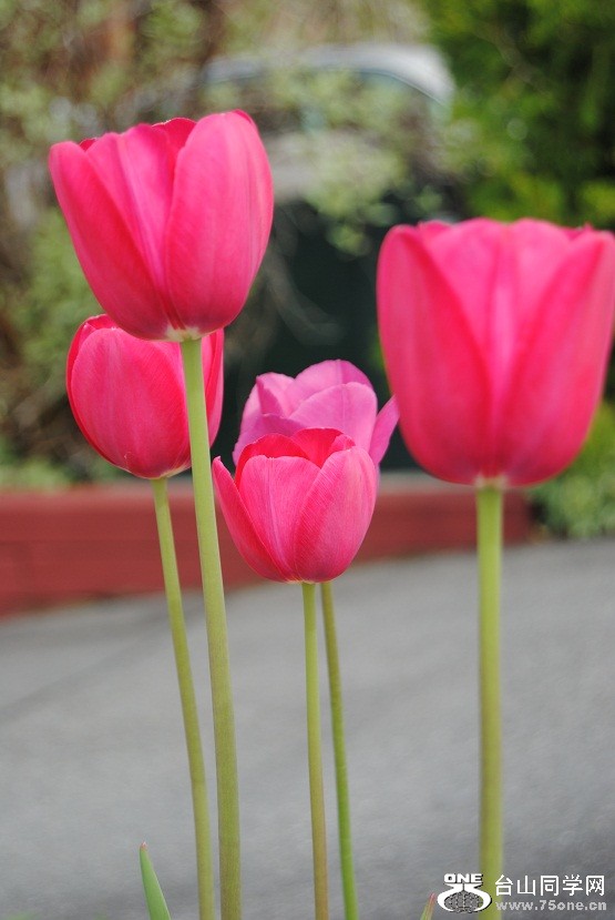 DSC_2112.JPG