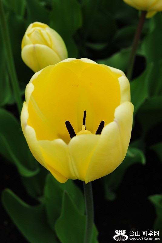 DSC_1627.JPG
