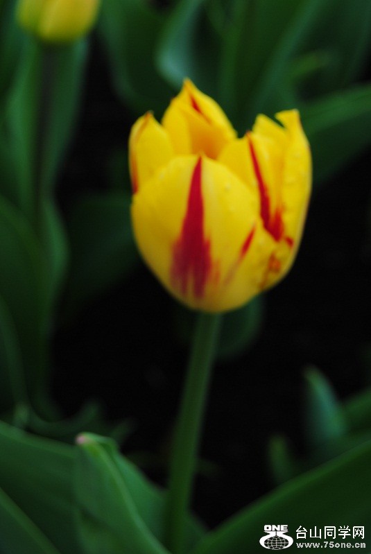 DSC_1664.JPG