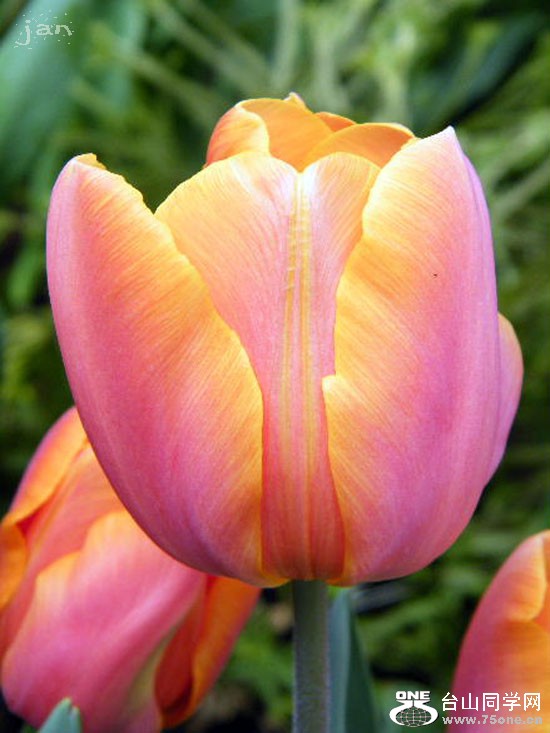DSCF4653=.jpg